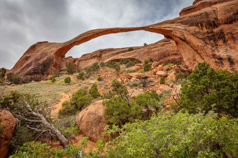 135 Arches NP, Landscape Arch.jpg